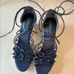 Charles by Charles David Dark Blue Strappy Sandals